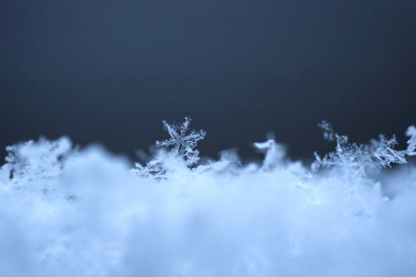 🎄 クリスマスキャンペーン 🎄