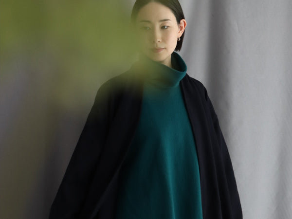 プリュシリーズ